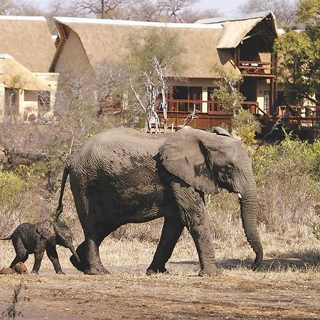 Elephant Plains Game Lodge Sabi-Sand-Reservat Exterior foto