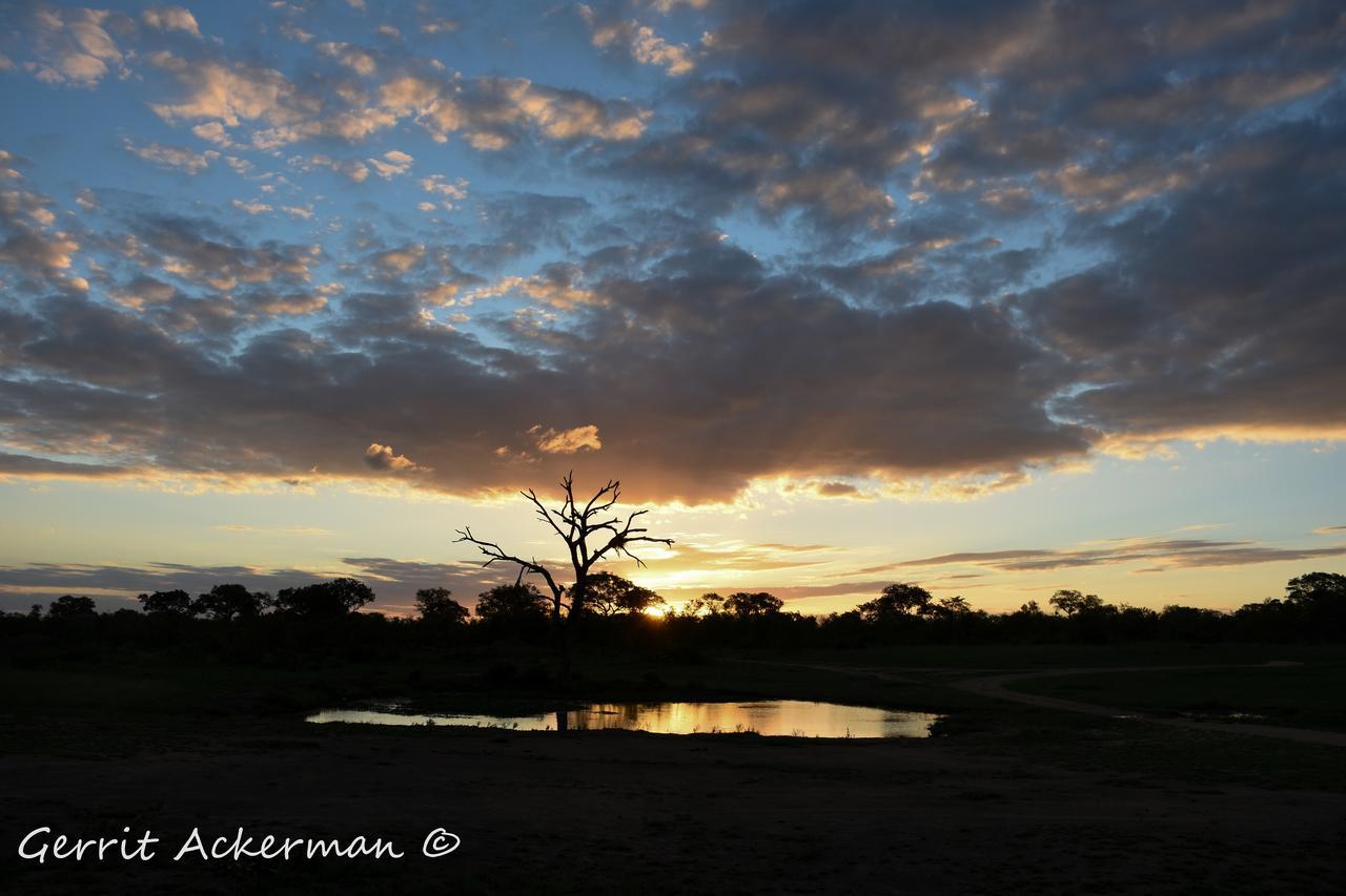 Elephant Plains Game Lodge Sabi-Sand-Reservat Exterior foto